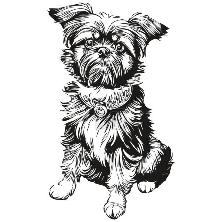 Ilustración de Affenpinscher perro contorno lápiz dibujo ilustraciones, carácter negro sobre fondo blanco realista raza mascota - Imagen libre de derechos