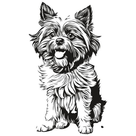 Ilustración de Affenpinscher perro contorno lápiz dibujo ilustraciones, carácter negro sobre fondo blanco boceto dibujo - Imagen libre de derechos