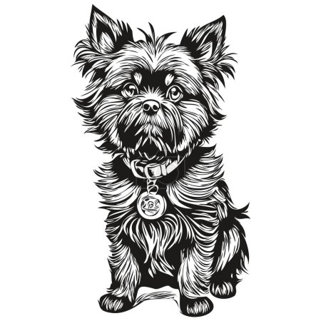 Ilustración de Affenpinscher perro lápiz mano dibujo vector, contorno ilustración mascota cara logo blanco y negro realista raza mascota - Imagen libre de derechos