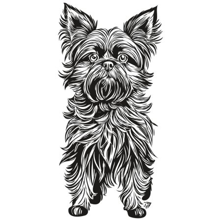 Ilustración de Retrato de perro Affenpinscher en vector, dibujo a mano de animal para tatuaje o camiseta ilustración de impresión realista raza mascota - Imagen libre de derechos