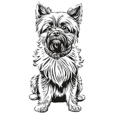 Ilustración de Dibujo realista del lápiz del perro Affenpinscher en vector, ilustración del arte de línea de cara de perro raza realista en blanco y negro mascota - Imagen libre de derechos