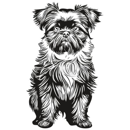 Ilustración de Affenpinscher perro realista mascota ilustración, dibujo a mano cara negro y blanco vector - Imagen libre de derechos