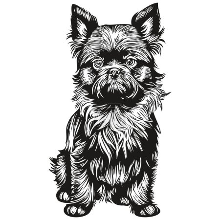 Ilustración de Affenpinscher perro silueta mascota carácter, clip arte vector mascotas dibujo boceto blanco y negro dibujo - Imagen libre de derechos