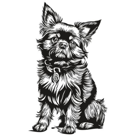 Ilustración de Affenpinscher perro vector cara dibujo retrato, dibujo de fondo transparente estilo vintage boceto - Imagen libre de derechos