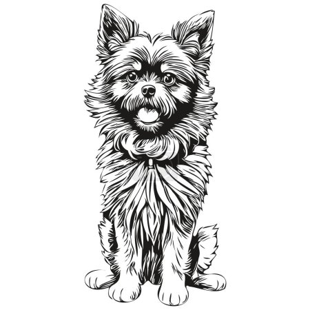 Ilustración de Affenpinscher perro vector gráficos, dibujado a mano lápiz animal línea ilustración realista raza mascota - Imagen libre de derechos