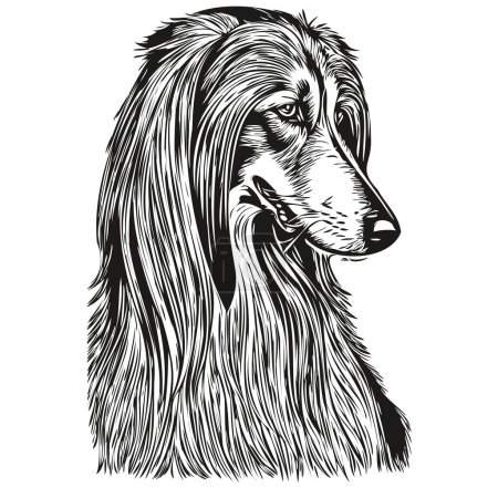 Photo for Afghan Hound dog breed line drawing, clip art animal hand drawing vector black and white realistic breed pet - Royalty Free Image