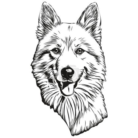 Téléchargez les photos : Croquis à l'encre de chien esquimau américain dessin, tatouage vintage ou t-shirt imprimé vecteur noir et blanc - en image libre de droit