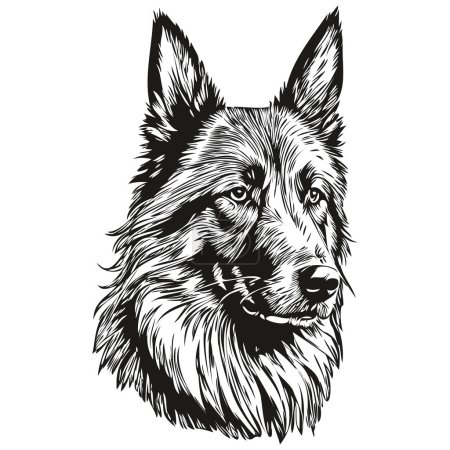 Belgian Tervuren dog engraved vector portrait, face cartoon vintage drawing in black and white sketch drawing