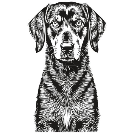 Black and Tan Coonhound dog cartoon face ink portrait, black and white sketch drawing, tshirt print