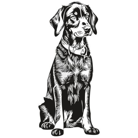 Black and Tan Coonhound dog pet sketch illustration, black and white engraving vector realistic pet silhouette