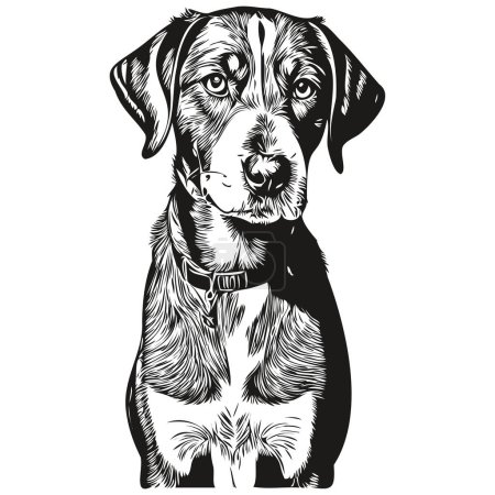 Bluetick Coonhound dog breed line drawing, clip art animal hand drawing vector black and white