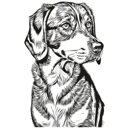 Bluetick Coonhound perro silueta mascota carácter, clip arte vector mascotas dibujo blanco y negro realista raza mascota