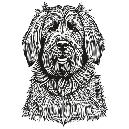 Illustration for Briard dog black drawing vector, isolated face painting sketch line illustration sketch drawing - Royalty Free Image