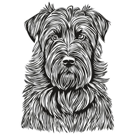 Illustration for Briard dog breed line drawing, clip art animal hand drawing vector black and white sketch drawing - Royalty Free Image