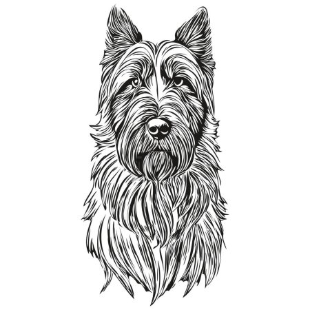 Illustration for Briard dog engraved vector portrait, face cartoon vintage drawing in black and white - Royalty Free Image
