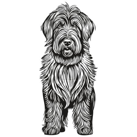 Illustration for Briard dog ink sketch drawing, vintage tattoo or t shirt print black and white vector sketch drawing - Royalty Free Image