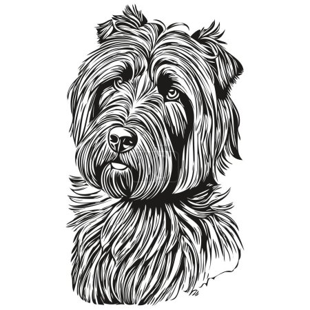Illustration for Briard dog ink sketch drawing, vintage tattoo or t shirt print black and white vector realistic breed pet - Royalty Free Image