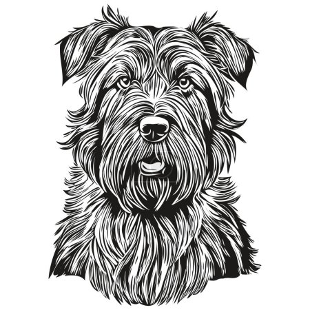 Illustration for Briard dog logo vector black and white, vintage cute dog head engraved realistic breed pet - Royalty Free Image