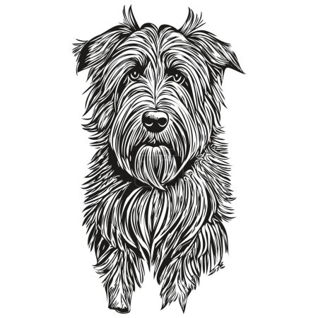 Illustration for Briard dog pencil hand drawing vector, outline illustration pet face logo black and white realistic breed pet - Royalty Free Image