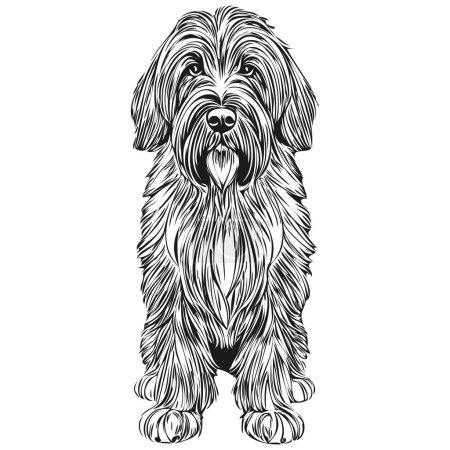 Illustration for Briard dog pet sketch illustration, black and white engraving vector realistic pet silhouette - Royalty Free Image