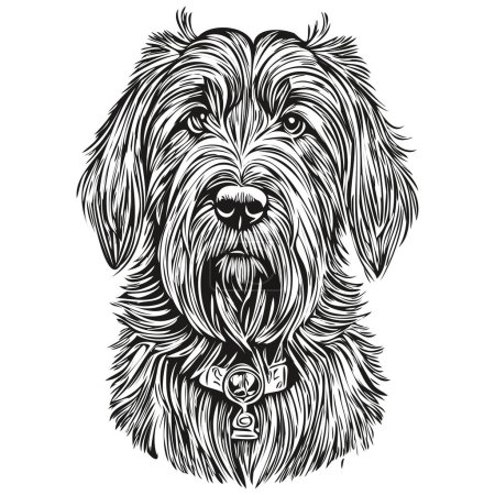 Illustration for Briard dog pet sketch illustration, black and white engraving vector - Royalty Free Image