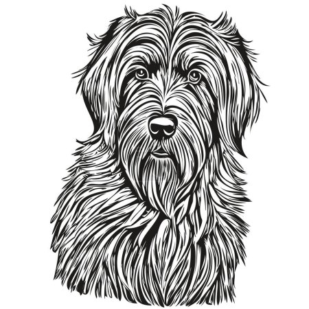 Illustration for Briard dog portrait in vector, animal hand drawing for tattoo or tshirt print illustration realistic breed pet - Royalty Free Image