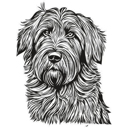 Illustration for Briard dog realistic pet illustration, hand drawing face black and white vector realistic pet silhouette - Royalty Free Image