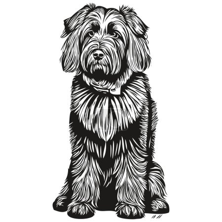 Illustration for Briard dog silhouette pet character, clip art vector pets drawing black and white realistic breed pet - Royalty Free Image
