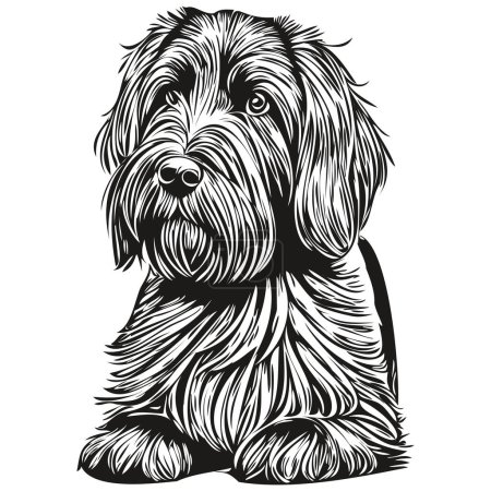 Illustration for Briard dog silhouette pet character, clip art vector pets drawing black and white sketch drawing - Royalty Free Image