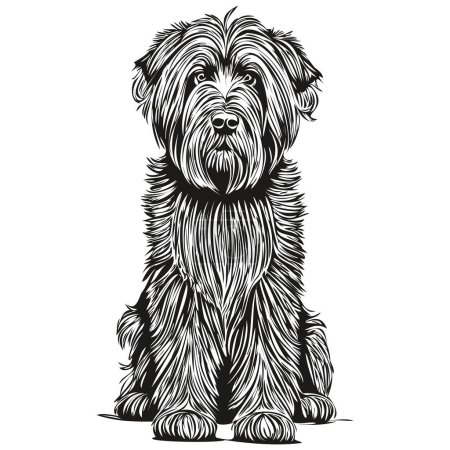 Illustration for Briard dog silhouette pet character, clip art vector pets drawing black and white - Royalty Free Image