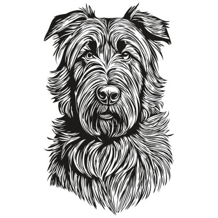 Illustration for Briard dog t shirt print black and white, cute funny outline drawing vector - Royalty Free Image