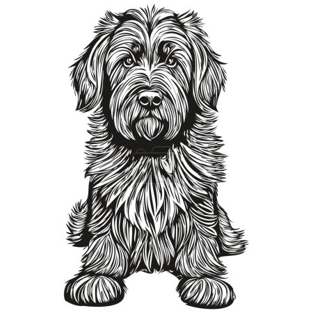 Illustration for Briard dog vector graphics, hand drawn pencil animal line illustration sketch drawing - Royalty Free Image
