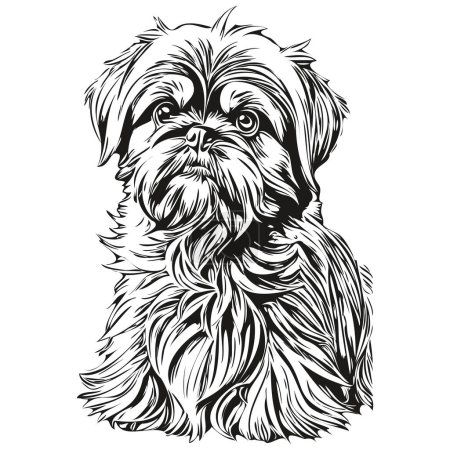 Brussels Griffon dog cartoon face ink portrait, black and white sketch drawing, tshirt print realistic breed pet