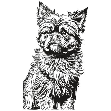 Brussels Griffon dog line illustration, black and white ink sketch face portrait in vector