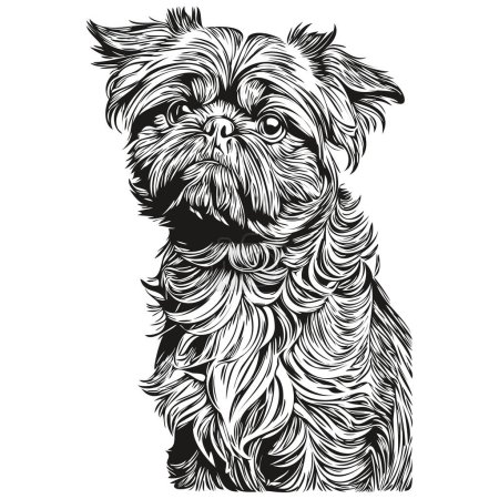 Brussels Griffon dog vector graphics, hand drawn pencil animal line illustration sketch drawing