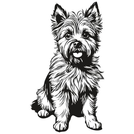 Illustration for Cairn Terrier dog black drawing vector, isolated face painting sketch line illustration realistic breed pet - Royalty Free Image