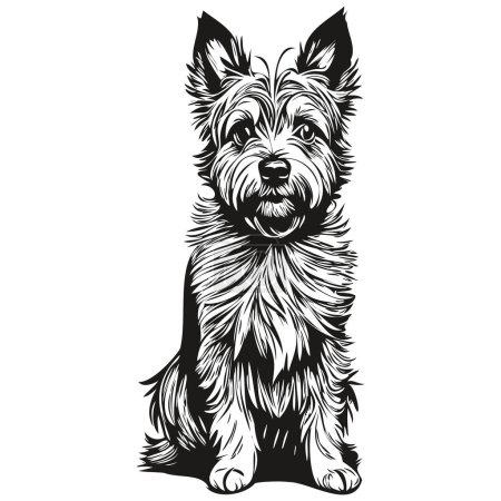 Illustration for Cairn Terrier dog breed line drawing, clip art animal hand drawing vector black and white realistic pet silhouette - Royalty Free Image