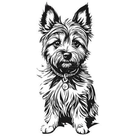 Illustration for Cairn Terrier dog breed line drawing, clip art animal hand drawing vector black and white sketch drawing - Royalty Free Image