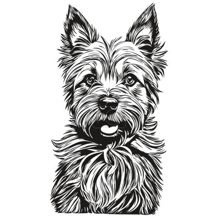 Illustration for Cairn Terrier dog breed line drawing, clip art animal hand drawing vector black and white - Royalty Free Image