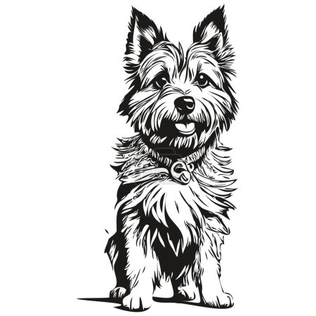 Illustration for Cairn Terrier dog engraved vector portrait, face cartoon vintage drawing in black and white realistic pet silhouette - Royalty Free Image