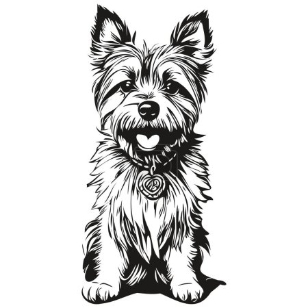 Illustration for Cairn Terrier dog engraved vector portrait, face cartoon vintage drawing in black and white realistic breed pet - Royalty Free Image