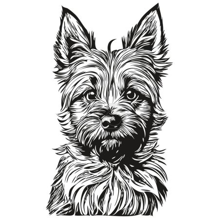 Illustration for Cairn Terrier dog hand drawn logo drawing black and white line art pets illustration realistic breed pet - Royalty Free Image