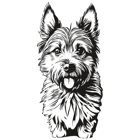 Illustration for Cairn Terrier dog face vector portrait, funny outline pet illustration white background realistic breed pet - Royalty Free Image