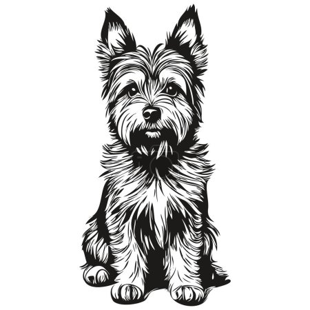Illustration for Cairn Terrier dog face vector portrait, funny outline pet illustration white background realistic pet silhouette - Royalty Free Image