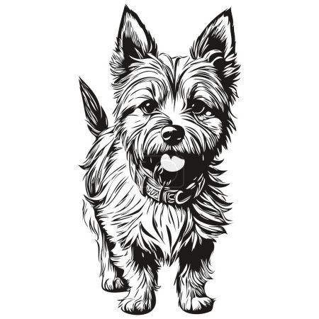 Illustration for Cairn Terrier dog hand drawn logo drawing black and white line art pets illustration realistic pet silhouette - Royalty Free Image