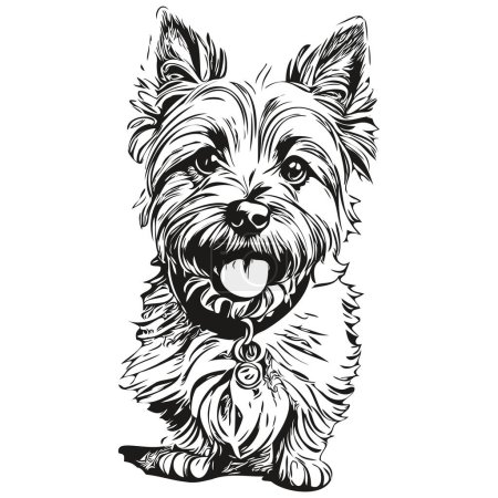Illustration for Cairn Terrier dog face vector portrait, funny outline pet illustration white background sketch drawing - Royalty Free Image