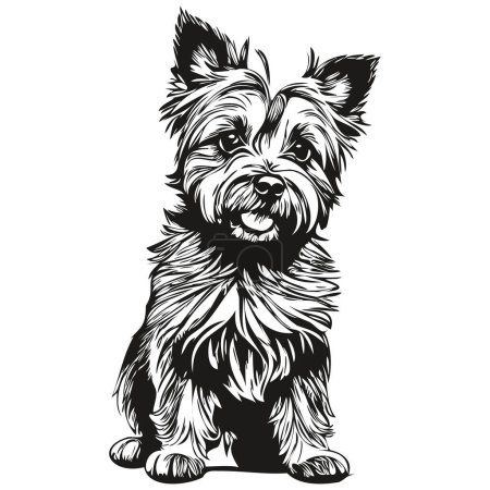 Illustration for Cairn Terrier dog hand drawn logo drawing black and white line art pets illustration sketch drawing - Royalty Free Image