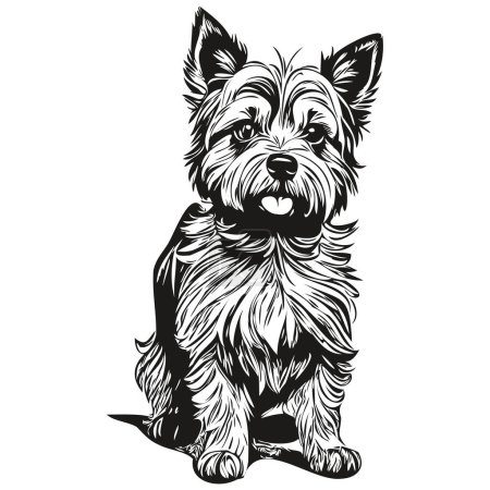 Illustration for Cairn Terrier dog ink sketch drawing, vintage tattoo or t shirt print black and white vector realistic pet silhouette - Royalty Free Image