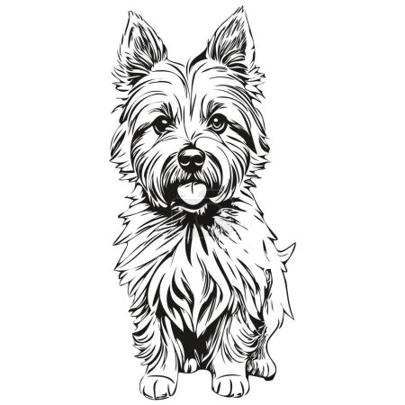 Illustration for Cairn Terrier dog logo vector black and white, vintage cute dog head engraved realistic breed pet - Royalty Free Image