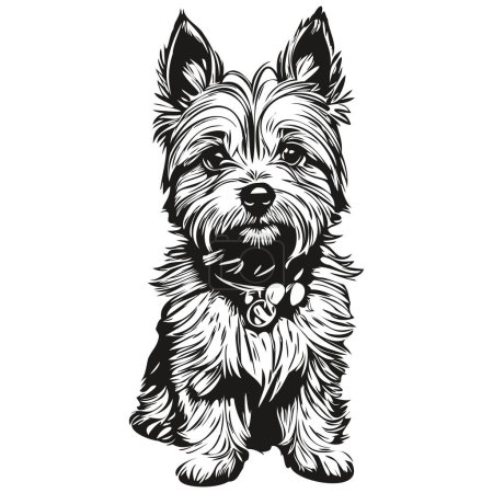 Illustration for Cairn Terrier dog logo vector black and white, vintage cute dog head engraved - Royalty Free Image